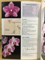 Growing Phalaenopsis At Home
