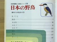 日本の野鳥 : 野外での見分け方