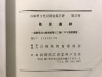 桑原遺跡 : 国鉄福知山線複線電化工事に伴う発掘調査