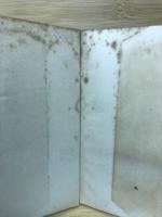 高物価を衝く―物価問題の解説書