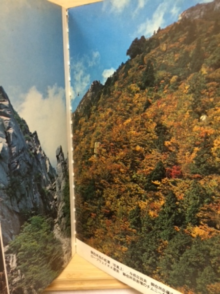 鈴鹿の山 ＜アルパインガイド 38＞(山口温夫, 山口昭 ) / 古本、中古本