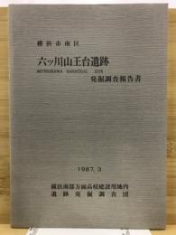 六ツ川山王台遺跡発掘調査報告書