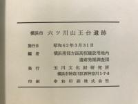 六ツ川山王台遺跡発掘調査報告書