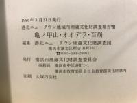 港北ニュータウン地域内埋蔵文化財調査報告