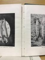 山女魚つり
