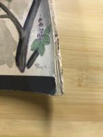 囲碁クラブ