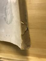 独逸浪漫主義