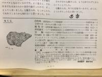 ヒグマ : Hokkaido brown bear