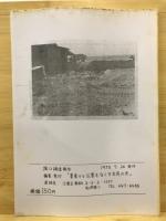 堀江調査報告