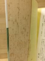 猥褻図書館 part2 性書受難史