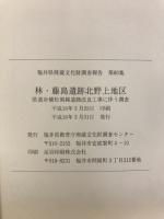 林・藤島遺跡北野上地区
