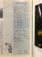 大美和