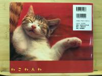 ねこねんね