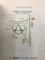 耳鼻咽喉科学教科書