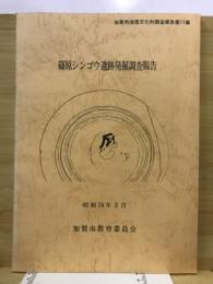 篠原シンゴウ遺跡発掘調査報告