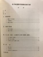 長井崎遺跡発掘調査報告書