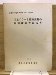 尾上イラウネ遺跡発見の線刻礫調査報告書