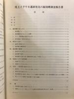 尾上イラウネ遺跡発見の線刻礫調査報告書