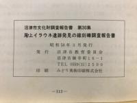 尾上イラウネ遺跡発見の線刻礫調査報告書