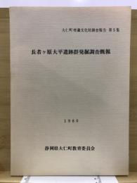 長者ケ原大平遺跡群発掘調査概報