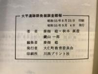 長者ケ原大平遺跡群発掘調査概報