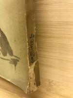 続茶を語る