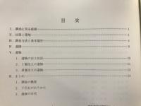 中筬遺跡 : 一般県道鮎立恩地線改良事業に伴う埋蔵文化財緊急発掘調査報告書
