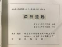 深沼遺跡 : 主要地方道国府見座線県道工事に伴う埋蔵文化財緊急発掘調査報告書