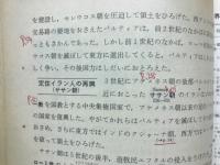 世界の歴史