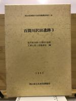 百間川沢田遺跡