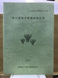 笹山遺跡発掘調査報告書