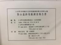 笹山遺跡発掘調査報告書