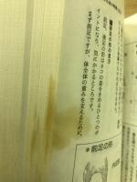 猫の飼い方・育て方