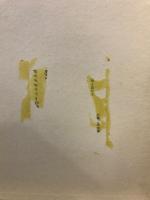 ピリピ書註解