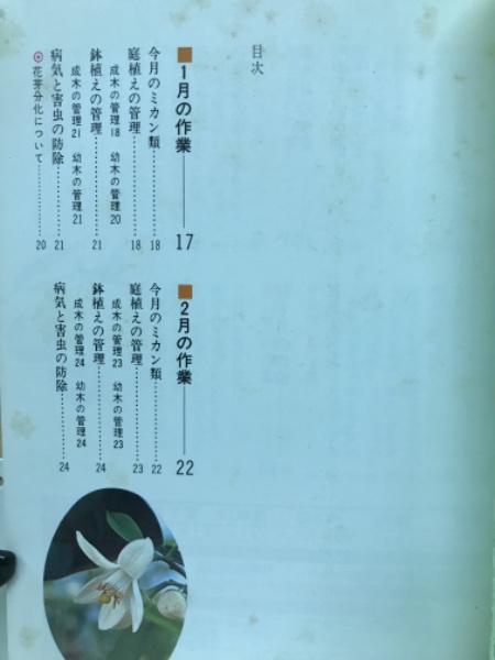 NHK趣味の園芸・作業12か月21ミカン類(村上嘉彦) / 古本、中古本