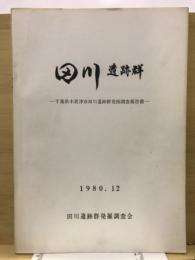 田川遺跡群 : 千葉県木更津市田川遺跡群発掘調査報告書