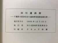 田川遺跡群 : 千葉県木更津市田川遺跡群発掘調査報告書