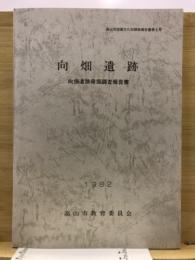 向畑遺跡発掘調査報告書