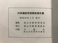 向畑遺跡発掘調査報告書