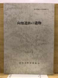 向畑遺跡の遺物