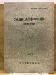 寺東遺跡、西保木(対岸)遺跡発掘調査報告書