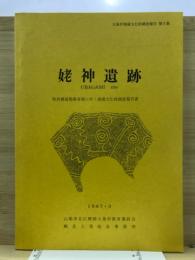 姥神遺跡 : 県営圃場整備事業に伴う埋蔵文化財調査報告書