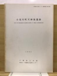 小見川町天神後遺跡 : 成田小見川鹿島港線地方道道路改良事業に伴う埋蔵文化財調査報告書