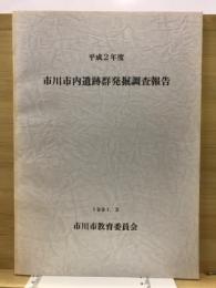 市川市内遺跡群発掘調査報告