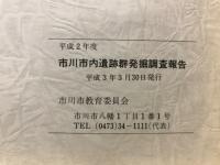 市川市内遺跡群発掘調査報告