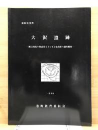 大沢遺跡 : 縄文時代中期前葉を主とする集落跡の調査概要