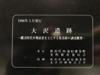 大沢遺跡 : 縄文時代中期前葉を主とする集落跡の調査概要