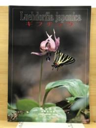 ギフチョウ : Luehdorfia Japonica