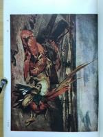 ドラクロア Delacroix : 1798-1863