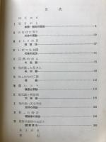 ぼくらの球面天文